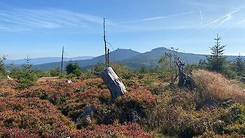 Der wunderbare Bayerische Wald und seine Menschen